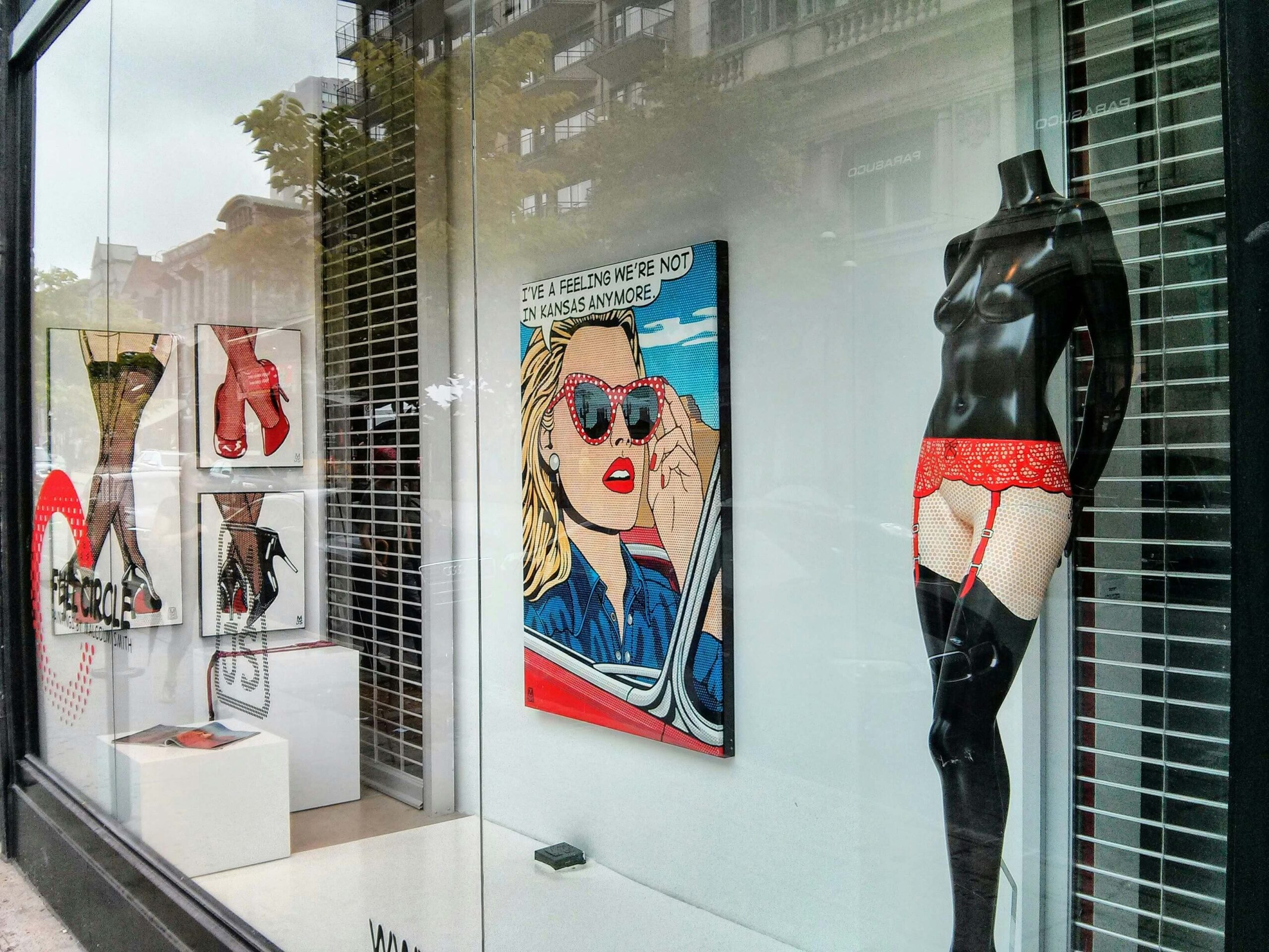 lingerie in a shop window