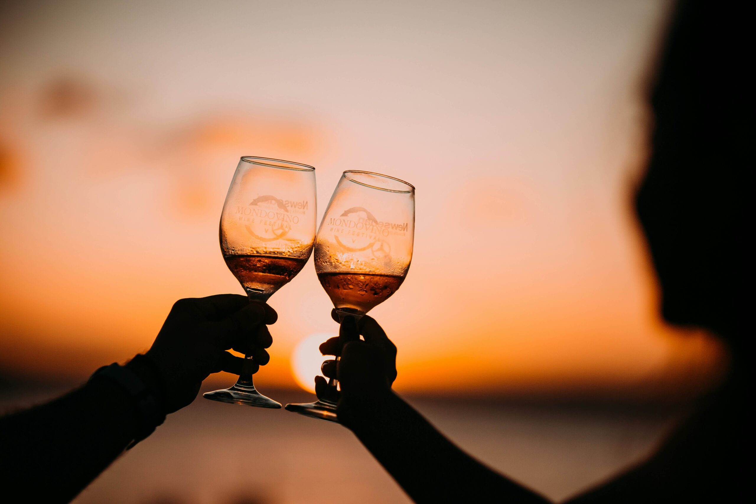 two people toasting in front of a sunset